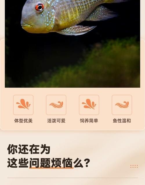 和尚關(guān)刀魚圖片大全，高清和尚關(guān)刀魚美圖
