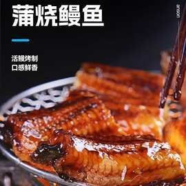 海鰻多少錢(qián)一斤，海鰻價(jià)格行情，一斤多少錢(qián)
