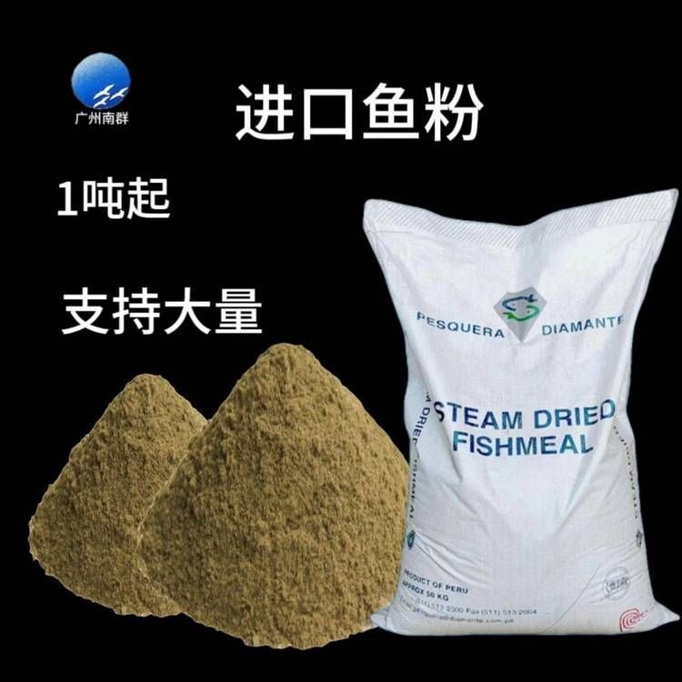海鰻多少錢(qián)一斤，海鰻價(jià)格行情，一斤多少錢(qián)