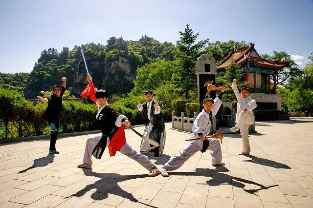 平?jīng)鳊堲~(yú)店，平?jīng)鋈藲恺堲~(yú)店推薦｜專業(yè)水族館·