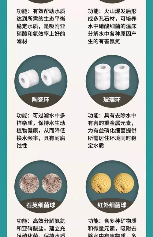 各種濾材的作用圖解 各種濾材的作用圖解 全國水族館企業(yè)名錄 第9張
