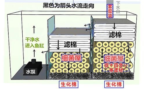 各種濾材的作用圖解 各種濾材的作用圖解 全國水族館企業(yè)名錄 第3張