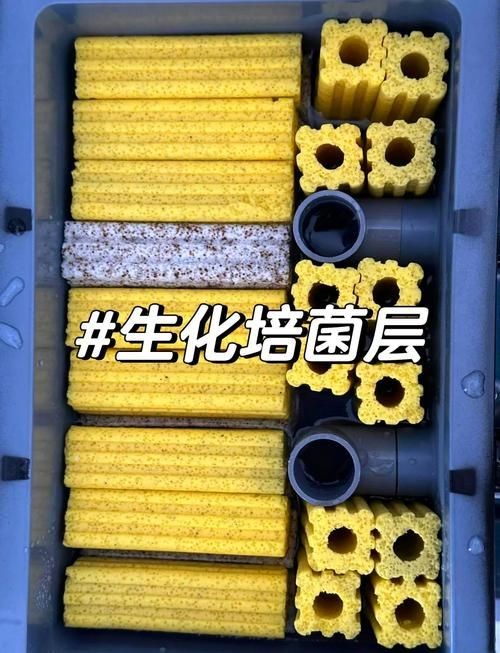 各種濾材的作用圖解 各種濾材的作用圖解 全國水族館企業(yè)名錄 第5張