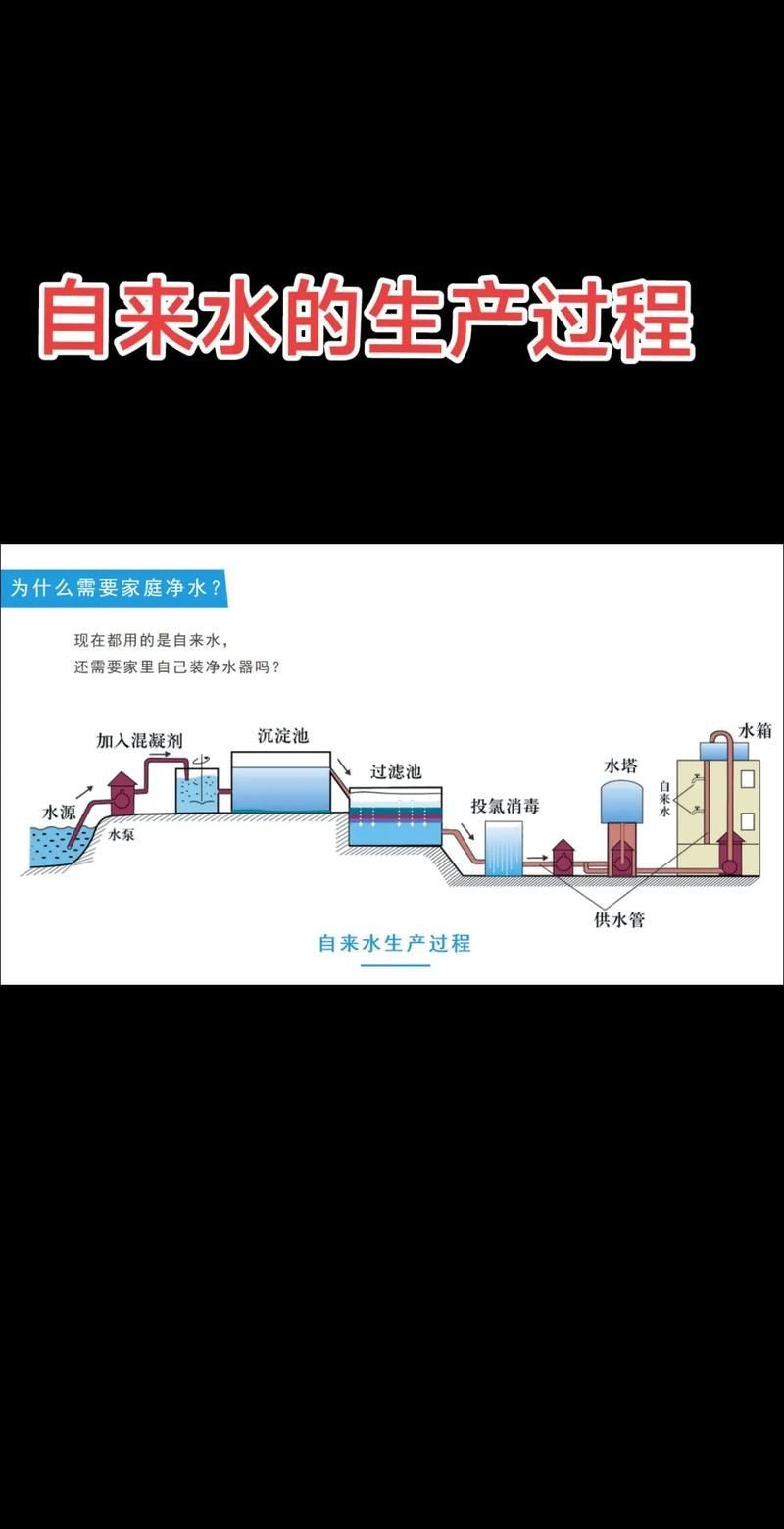 各種濾材的作用圖解 各種濾材的作用圖解 全國水族館企業(yè)名錄 第25張