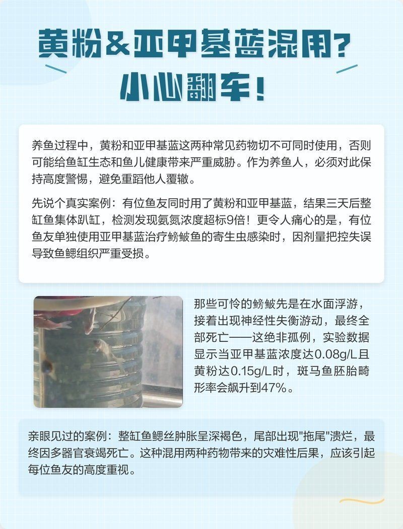 亞甲基藍能和黃粉混用嗎