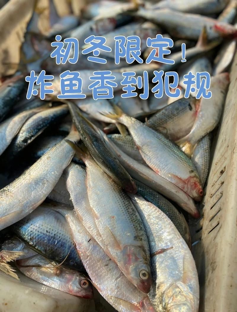 干炸小斑魚是什么魚