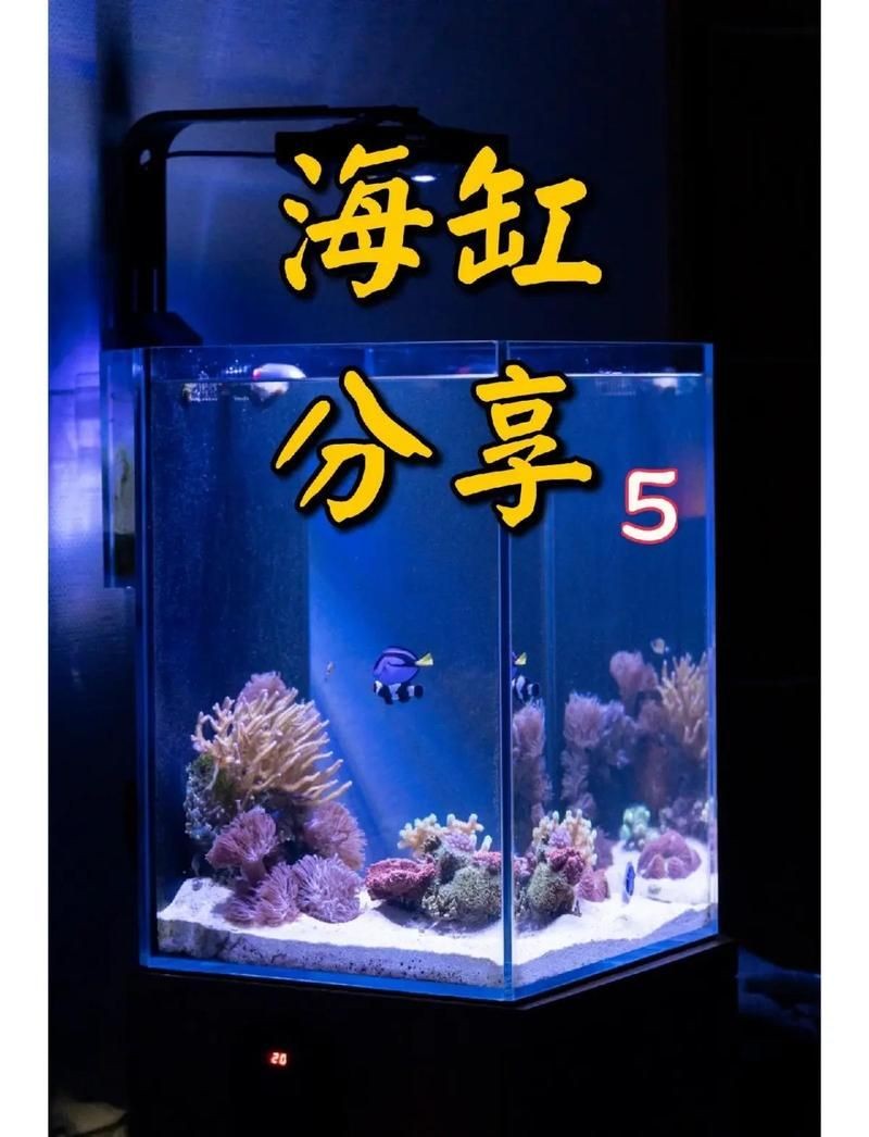 海星金魚缸水族箱