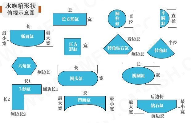 海星金魚缸水族箱