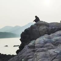 火元素是什么意思