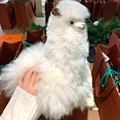 個人轉讓舊貨