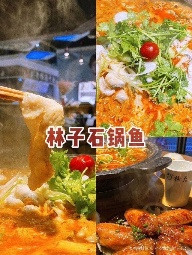 臺州龍魚店