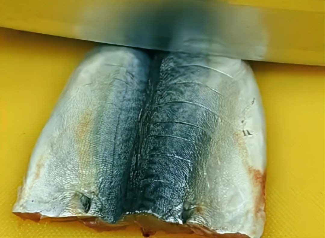 海里的青魚圖片