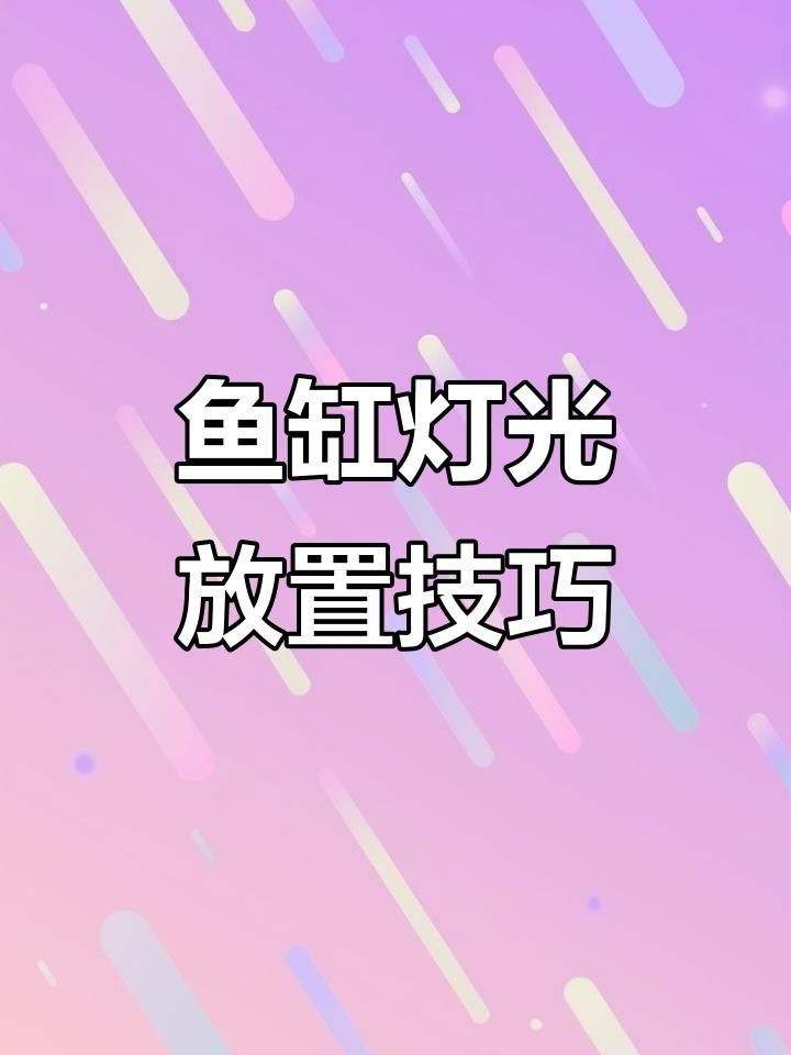 古典過(guò)背金龍魚用什么燈光
