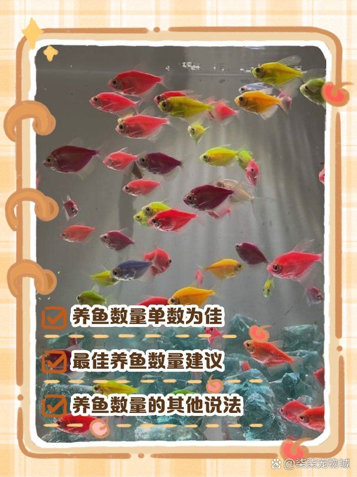 家里養(yǎng)魚養(yǎng)幾條最好