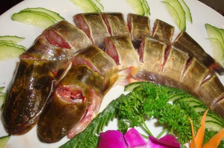 年魚圖片高清大圖大全