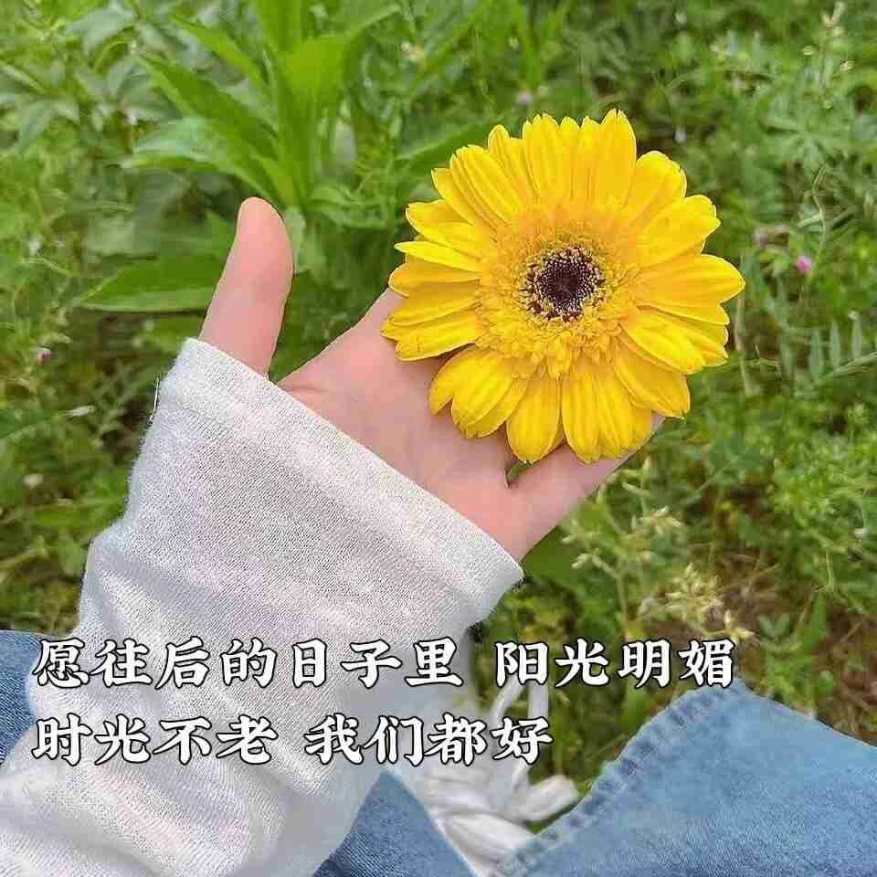 洪荒十大魔神