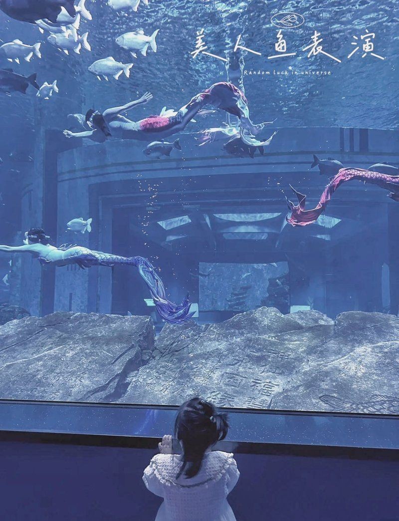 九江水族店