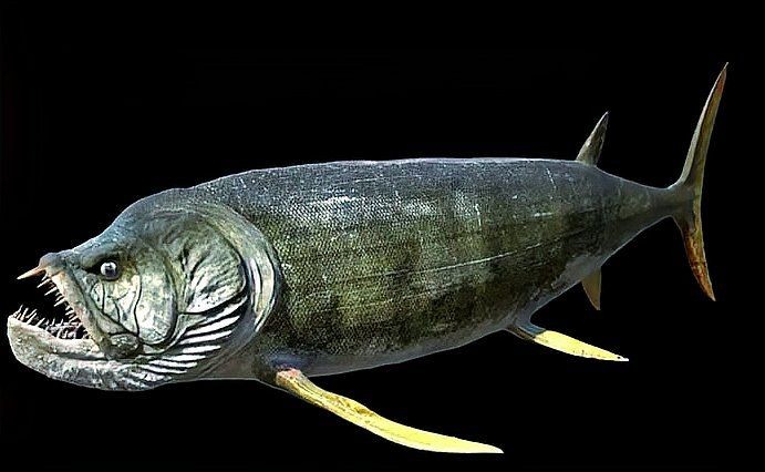 劍射魚還存在嗎