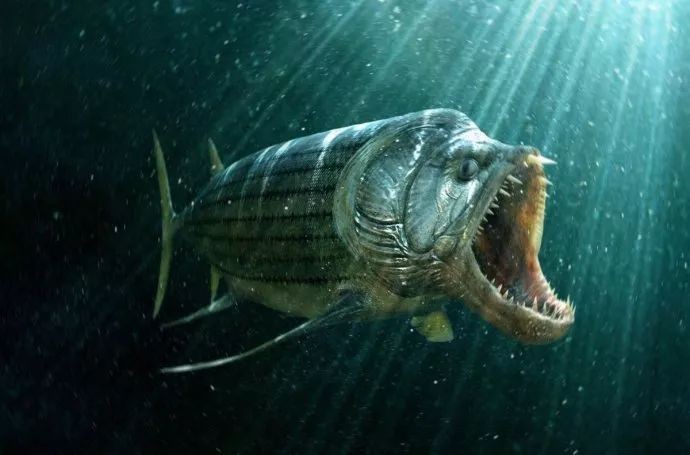 劍射魚還存在嗎