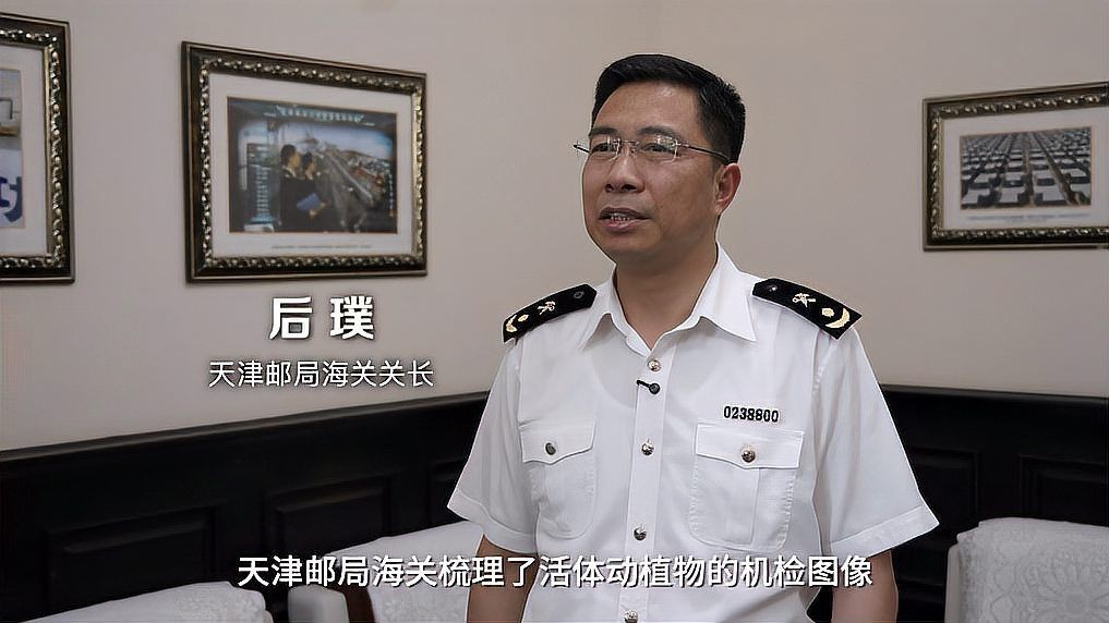 咖啡瓶魚為何不建議養(yǎng)