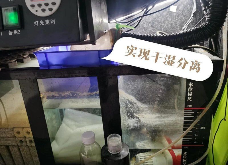 聚龍殿水族箱底濾