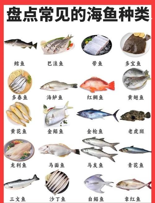 海魚大全10000種圖片
