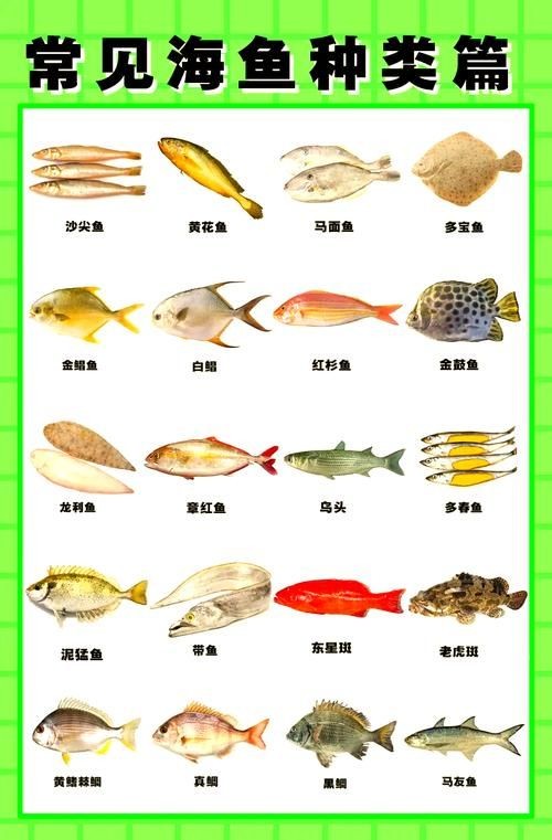 海魚大全10000種圖片