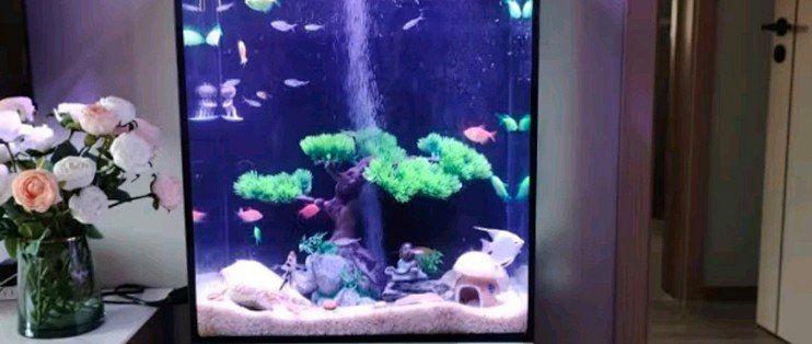 漢霸魚缸優缺點