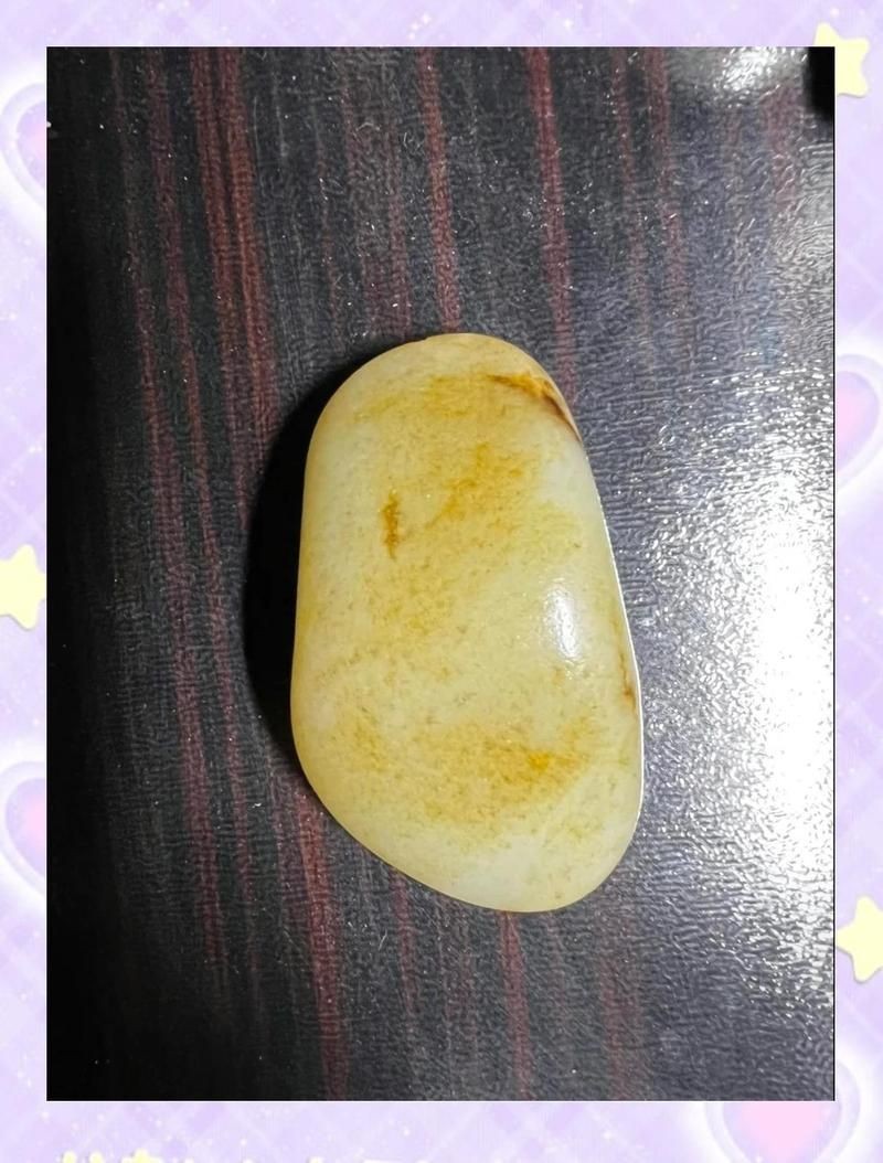 和田魚缸維護