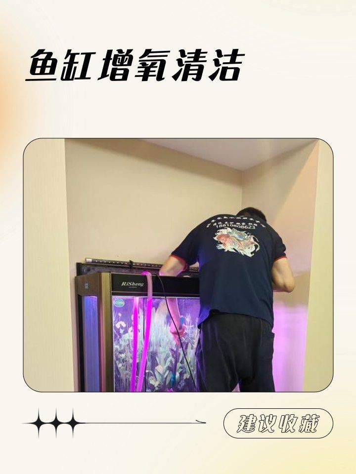 和田魚缸維護