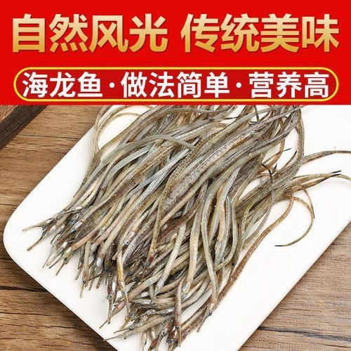 海龍魚的圖片