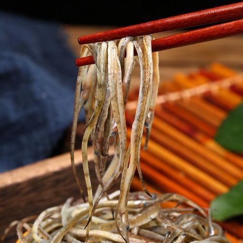 海龍魚的圖片