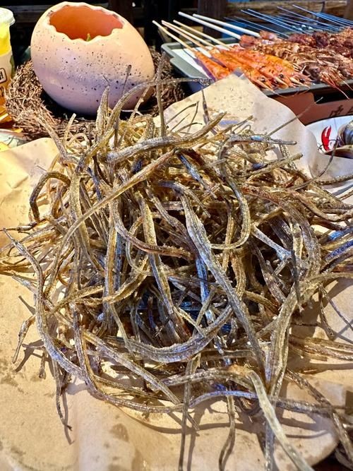 海龍魚的圖片