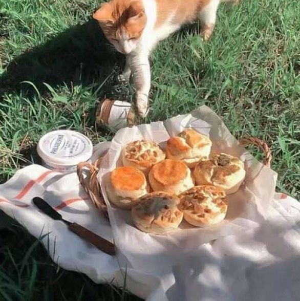 家用小魚撈網兜漁網