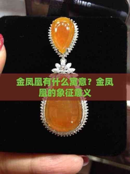金鳳凰象征著什么