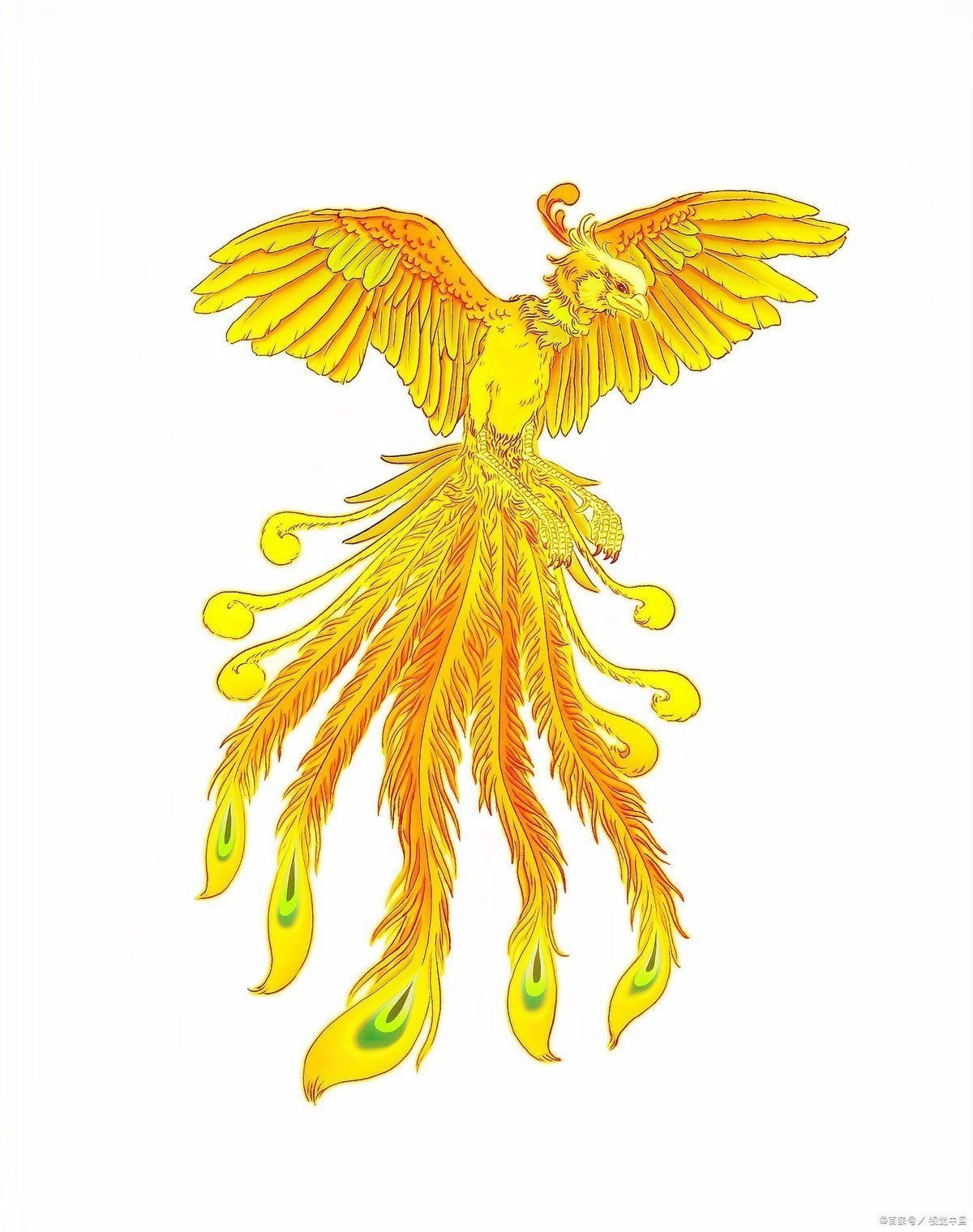 金鳳凰象征著什么