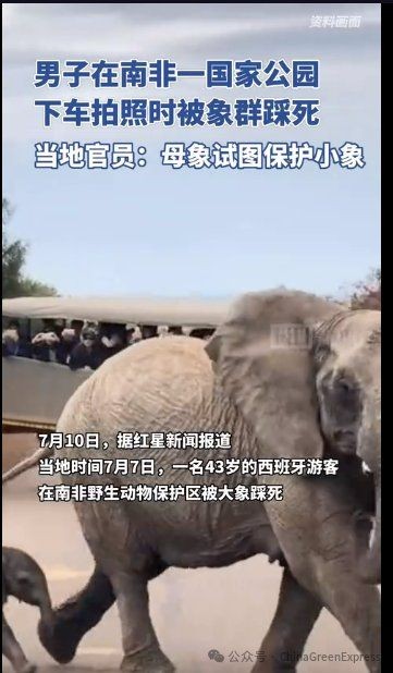 海象會(huì)攻擊人嗎