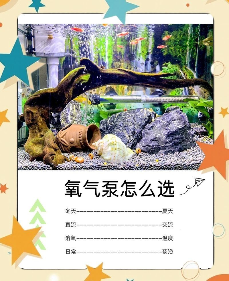 金元寶魚不打氧可以嗎