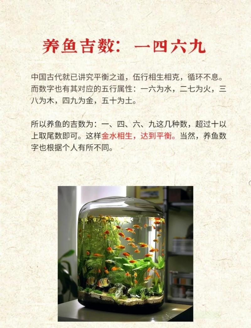 金鳳魚養(yǎng)家里不吉利嗎