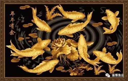 金鳳魚養(yǎng)家里不吉利嗎