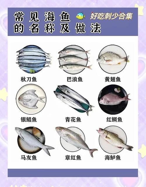 海魚大全圖片