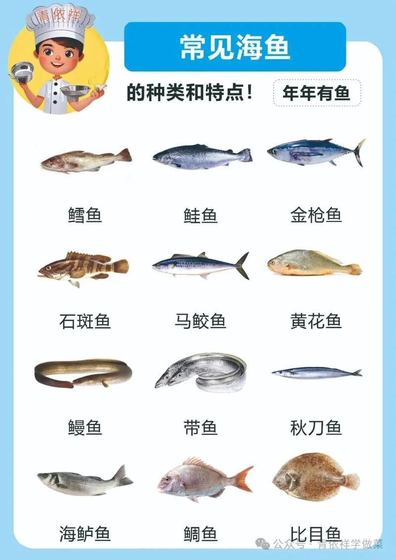 海魚大全圖片
