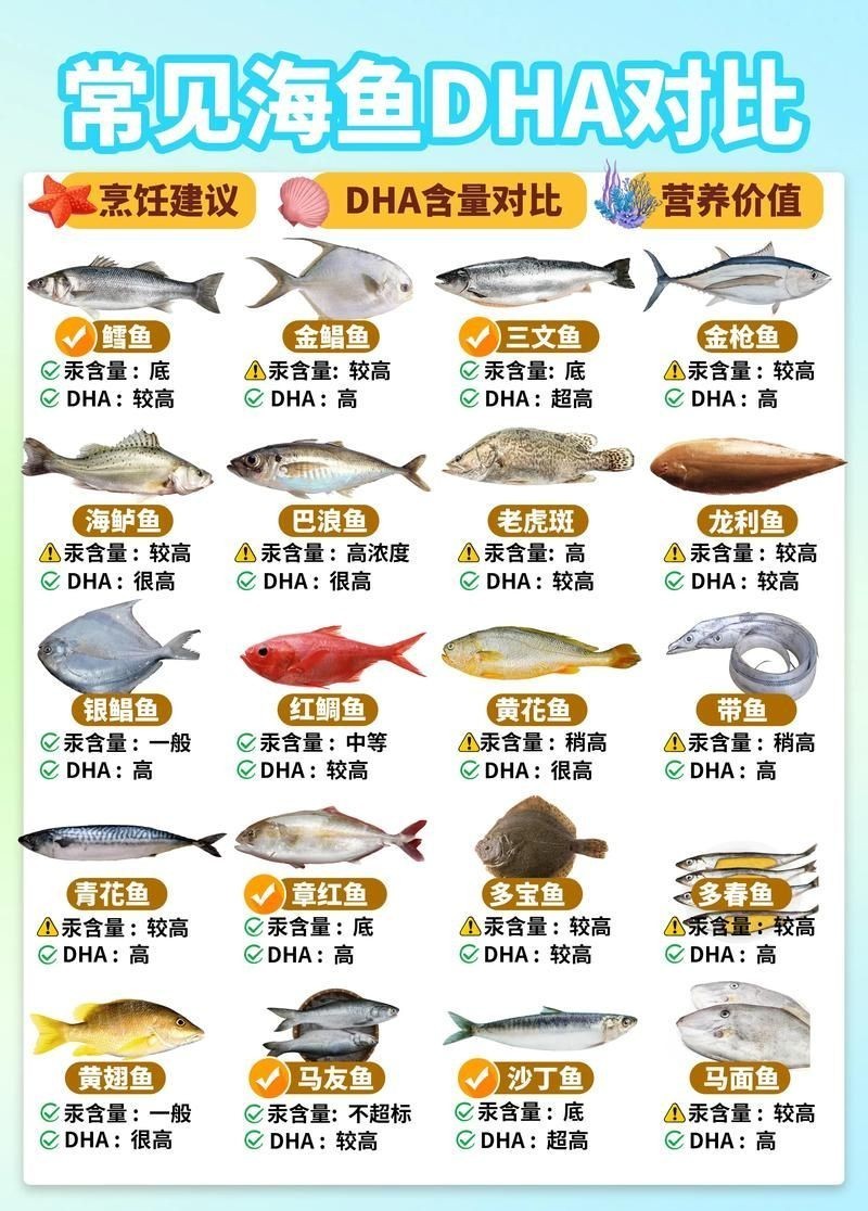 海魚大全圖片