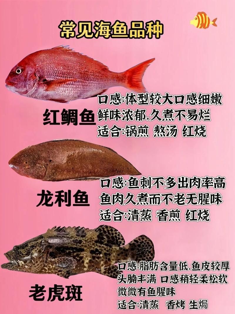 海魚大全圖片