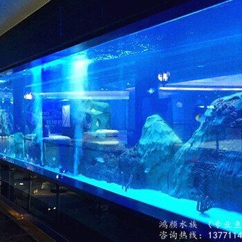 常州魚缸店