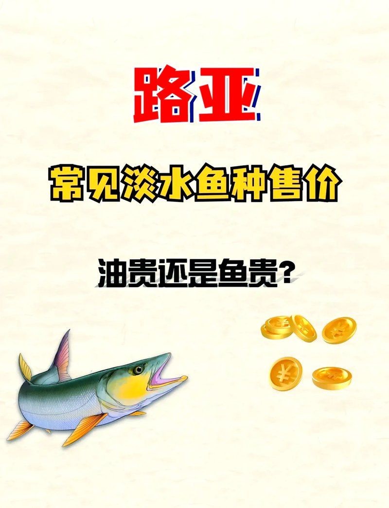 各種常見魚的價(jià)格