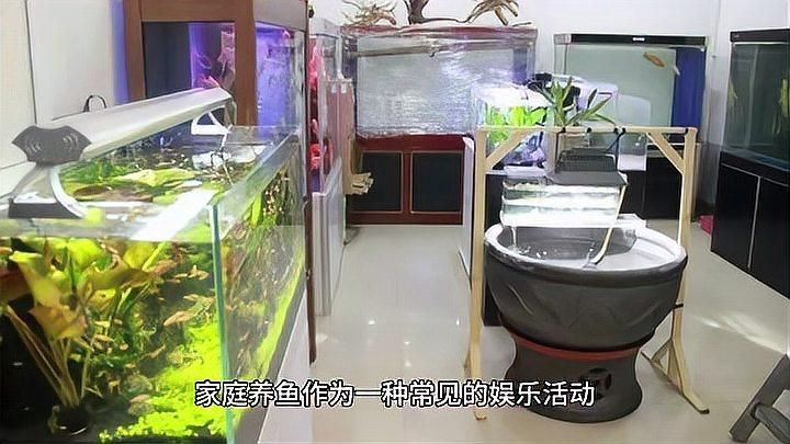 家里用水族魚缸的利弊 全國水族館企業名錄 第7張 家里用水族魚缸的利弊 家里用水族魚缸的利弊 全國水族館企業名錄 第7張