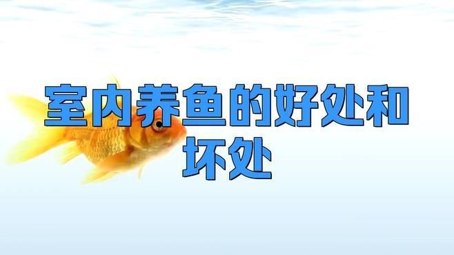 家里用水族魚缸的利弊 全國水族館企業名錄 第3張 家里用水族魚缸的利弊 家里用水族魚缸的利弊 全國水族館企業名錄 第3張