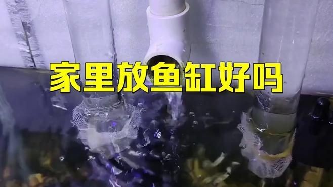 家里用水族魚缸的利弊 全國水族館企業名錄 第4張 家里用水族魚缸的利弊 家里用水族魚缸的利弊 全國水族館企業名錄 第4張