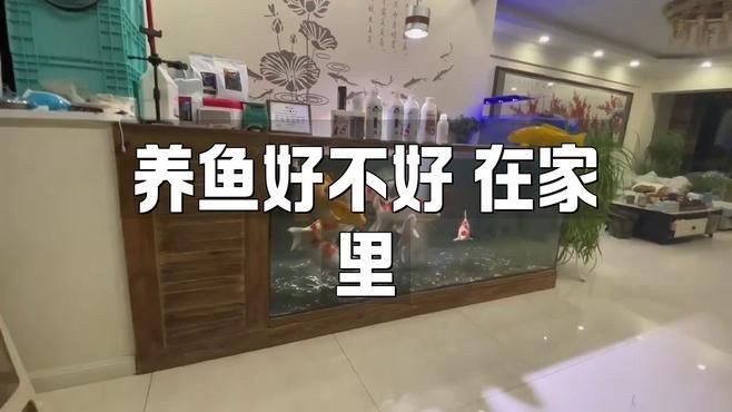 家里用水族魚缸的利弊 全國水族館企業名錄 第6張 家里用水族魚缸的利弊 家里用水族魚缸的利弊 全國水族館企業名錄 第6張